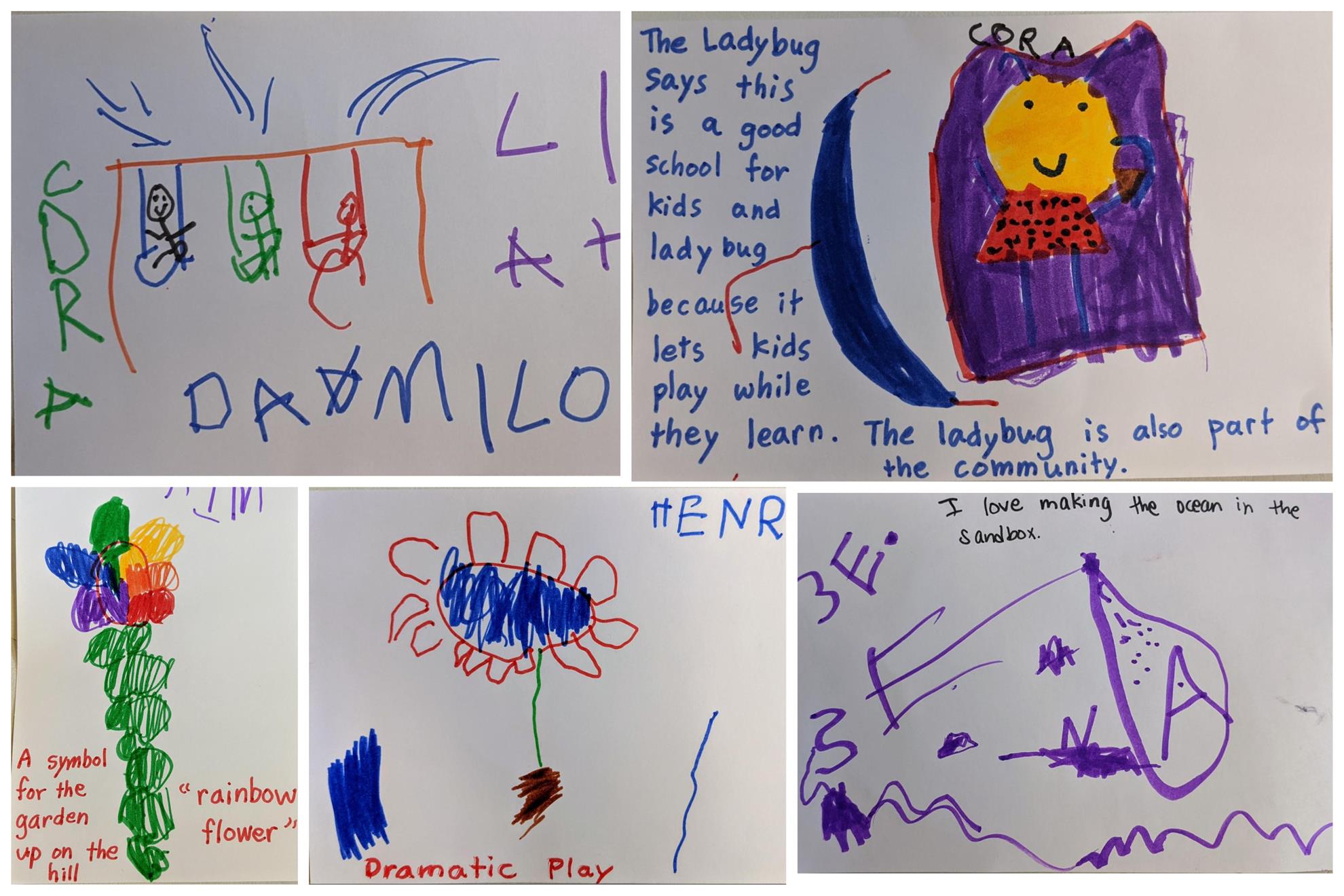 Drawings done by students during the KIBO unit
