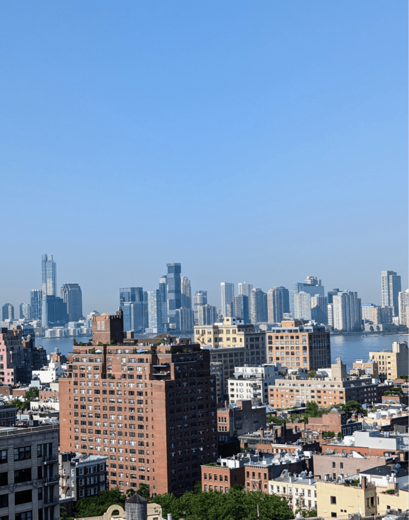 The view of NYC from Google's offices. 