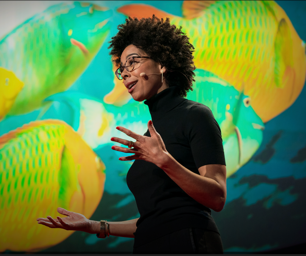 Dr. Ayana Elizabeth Johnson, a Brooklyn based marine biologist, policy expert, writer, and teacher.