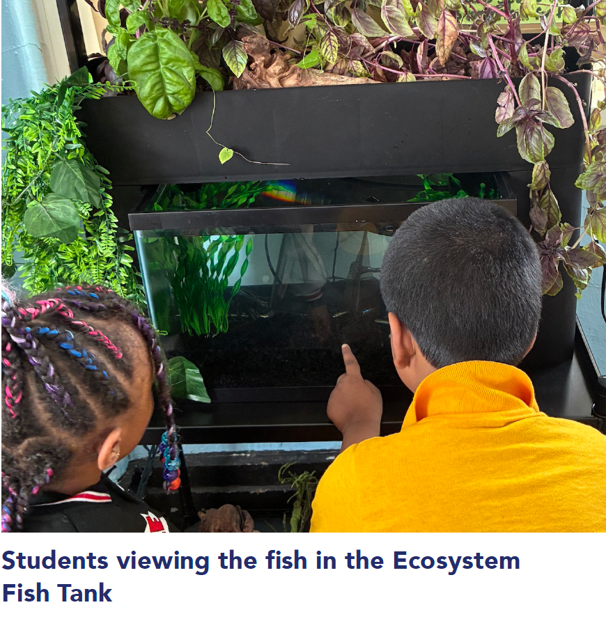 students viewing the fish in the Ecosystem fish tank.